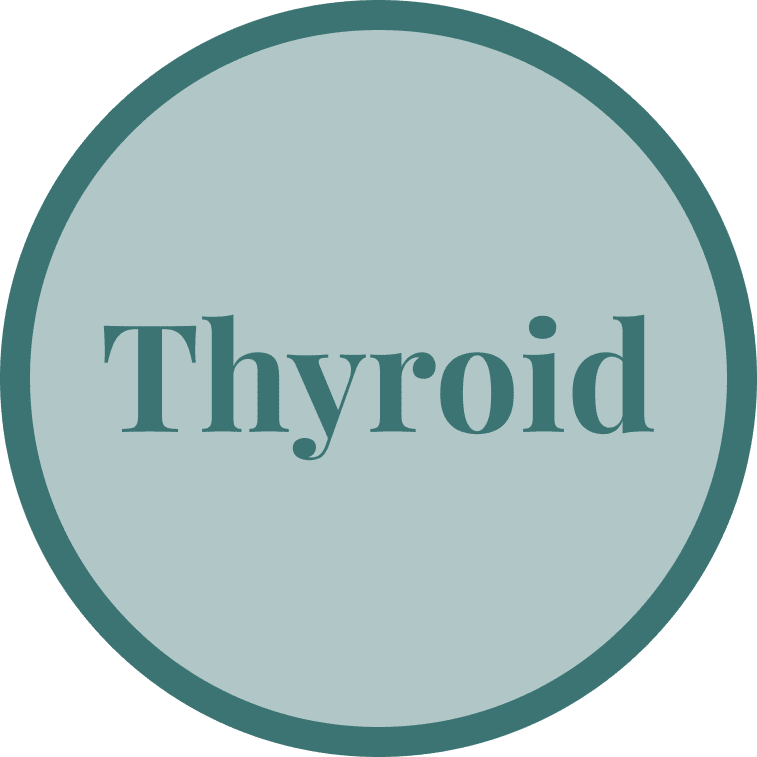 Simple circular badge with the word 'Thyroid' in teal.